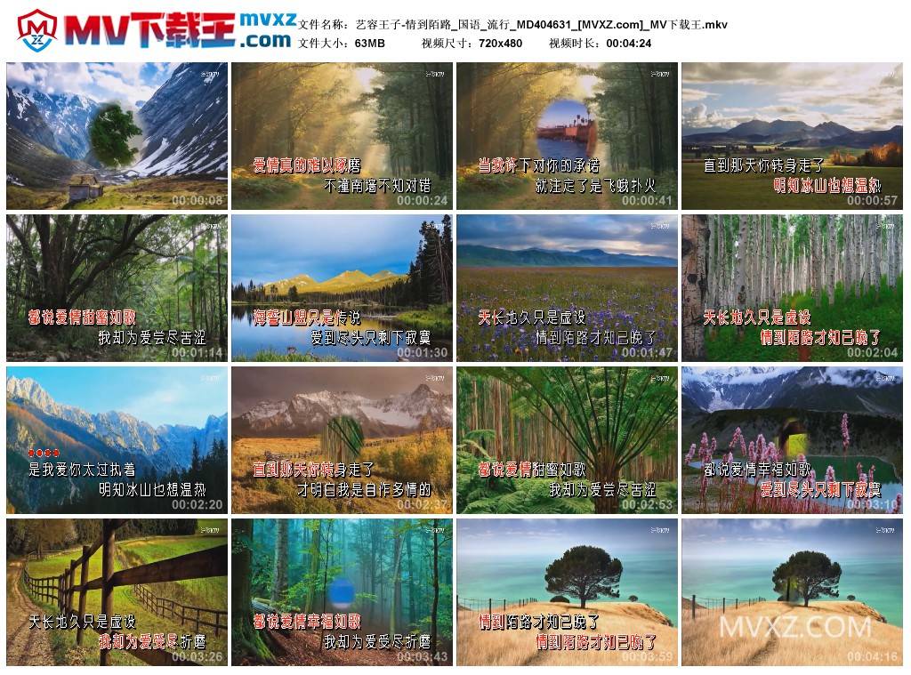 艺容王子-情到陌路_国语_流行_MD404631